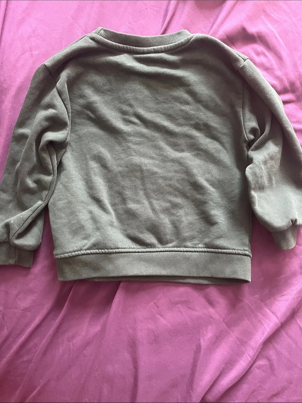 Zara Kids Dark Olive Green Crewneck Sweatshirt with Chest Print